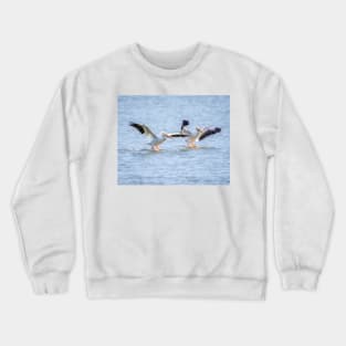 American White Pelican Dual Landing Crewneck Sweatshirt